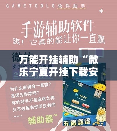 万能开挂辅助“微乐宁夏开挂下载安装”2026开挂教程步骤