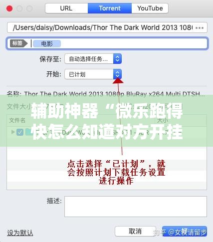 辅助神器“微乐跑得快怎么知道对方开挂”详细外挂透视辅助软件教程