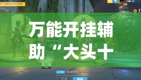 万能开挂辅助“大头十三水外卦辅助神器”(透视挂)辅助下载教程