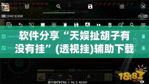 软件分享“天娱扯胡子有没有挂”(透视挂)辅助下载教程