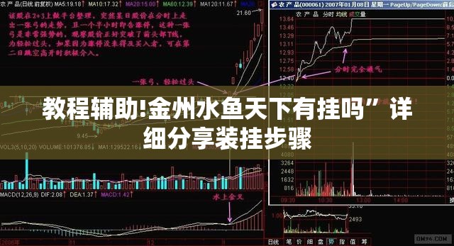 教程辅助!金州水鱼天下有挂吗	”详细分享装挂步骤