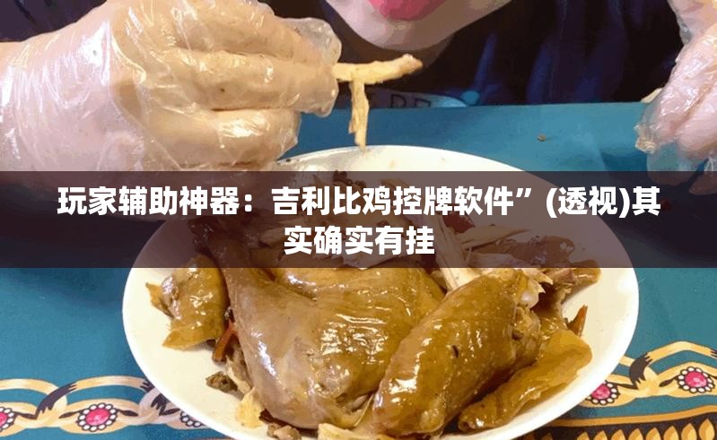 玩家辅助神器：吉利比鸡控牌软件	”(透视)其实确实有挂