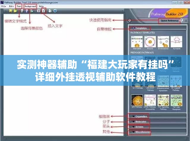 实测神器辅助“福建大玩家有挂吗”详细外挂透视辅助软件教程