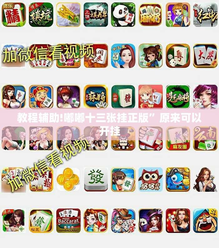 教程辅助!嘟嘟十三张挂正版”原来可以开挂
