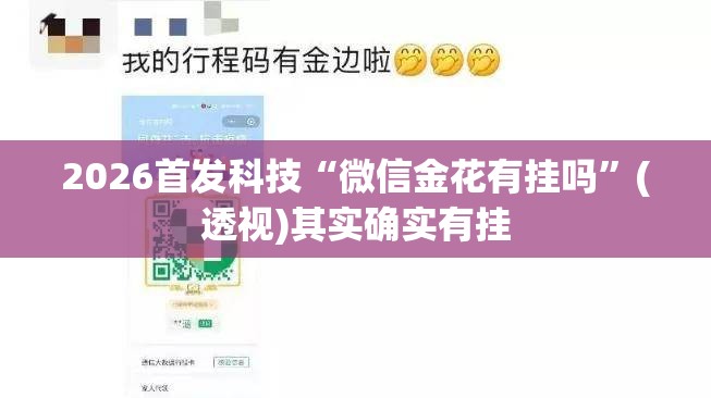 2026首发科技“微信金花有挂吗”(透视)其实确实有挂