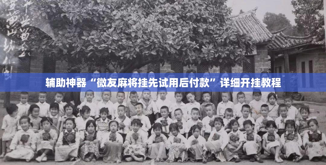 辅助神器“微友麻将挂先试用后付款”详细开挂教程