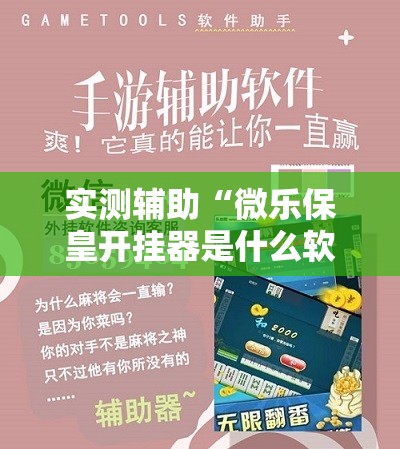 实测辅助“微乐保皇开挂器是什么软件	”科技辅助神器手机版