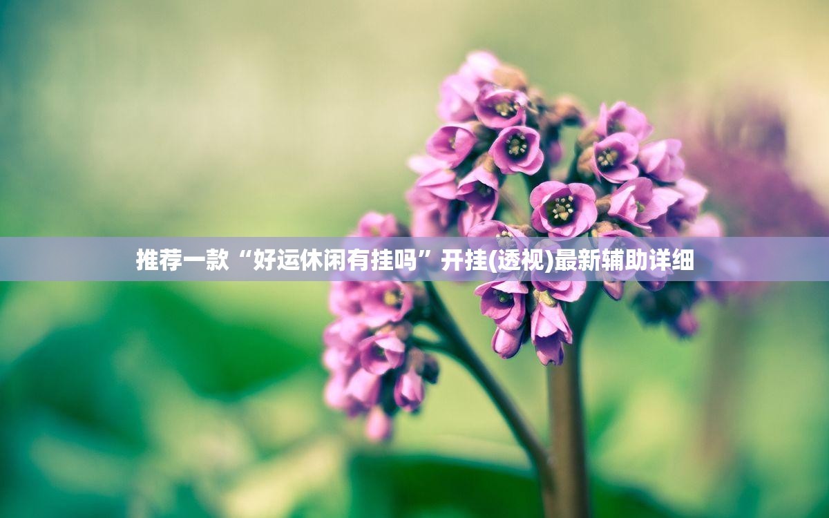 推荐一款“好运休闲有挂吗”开挂(透视)最新辅助详细