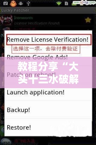 教程分享“大头十三水破解器”详细分享装挂步骤