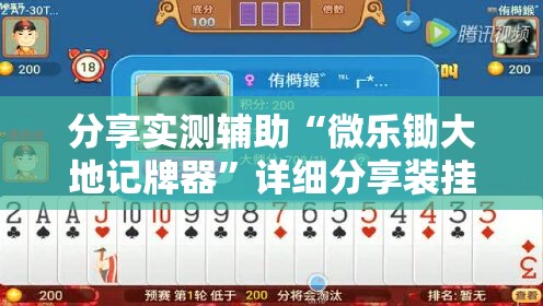 分享实测辅助“微乐锄大地记牌器”详细分享装挂步骤