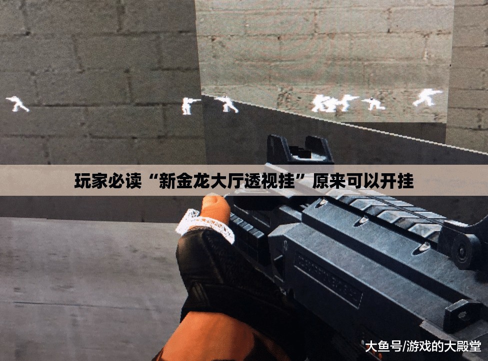 玩家必读“新金龙大厅透视挂”原来可以开挂