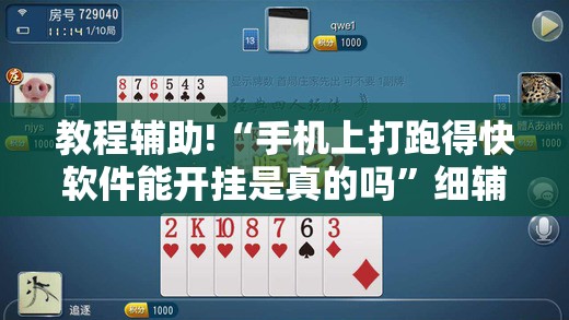 教程辅助!“手机上打跑得快软件能开挂是真的吗”细辅助教程分享