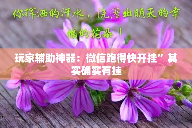 玩家辅助神器：微信跑得快开挂”其实确实有挂