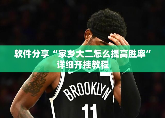 软件分享“家乡大二怎么提高胜率”详细开挂教程
