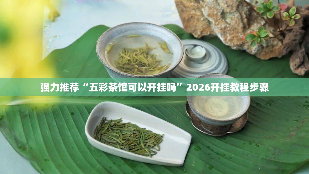 强力推荐“五彩茶馆可以开挂吗”2026开挂教程步骤