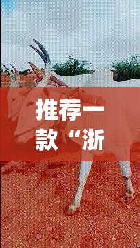 推荐一款“浙江游戏大厅开挂神器	”开挂(透视)最新辅助详细