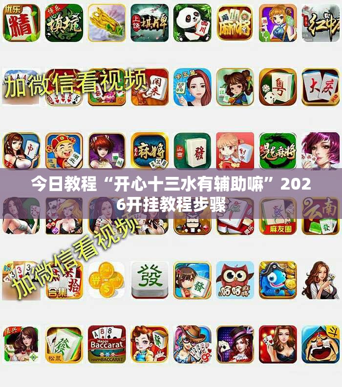 今日教程“开心十三水有辅助嘛”2026开挂教程步骤