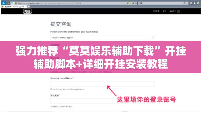 强力推荐“莫莫娱乐辅助下载	”开挂辅助脚本+详细开挂安装教程