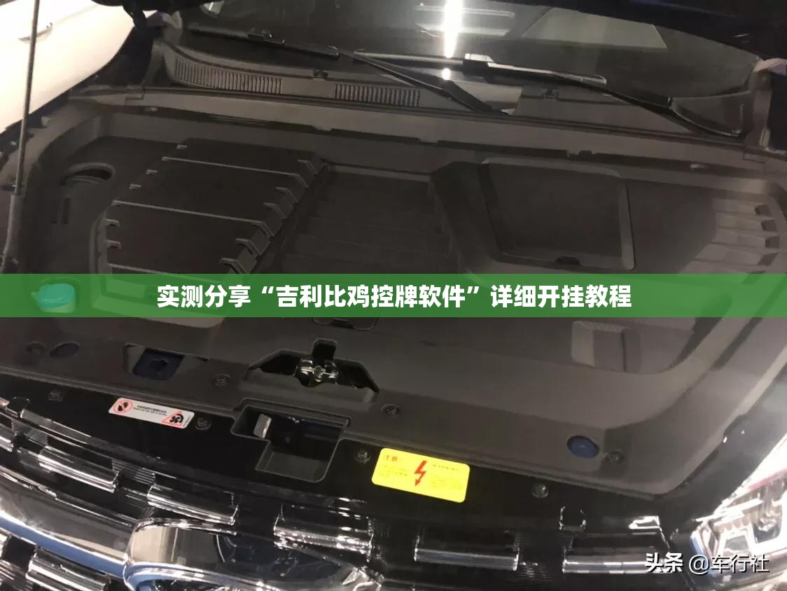 实测分享“吉利比鸡控牌软件”详细开挂教程