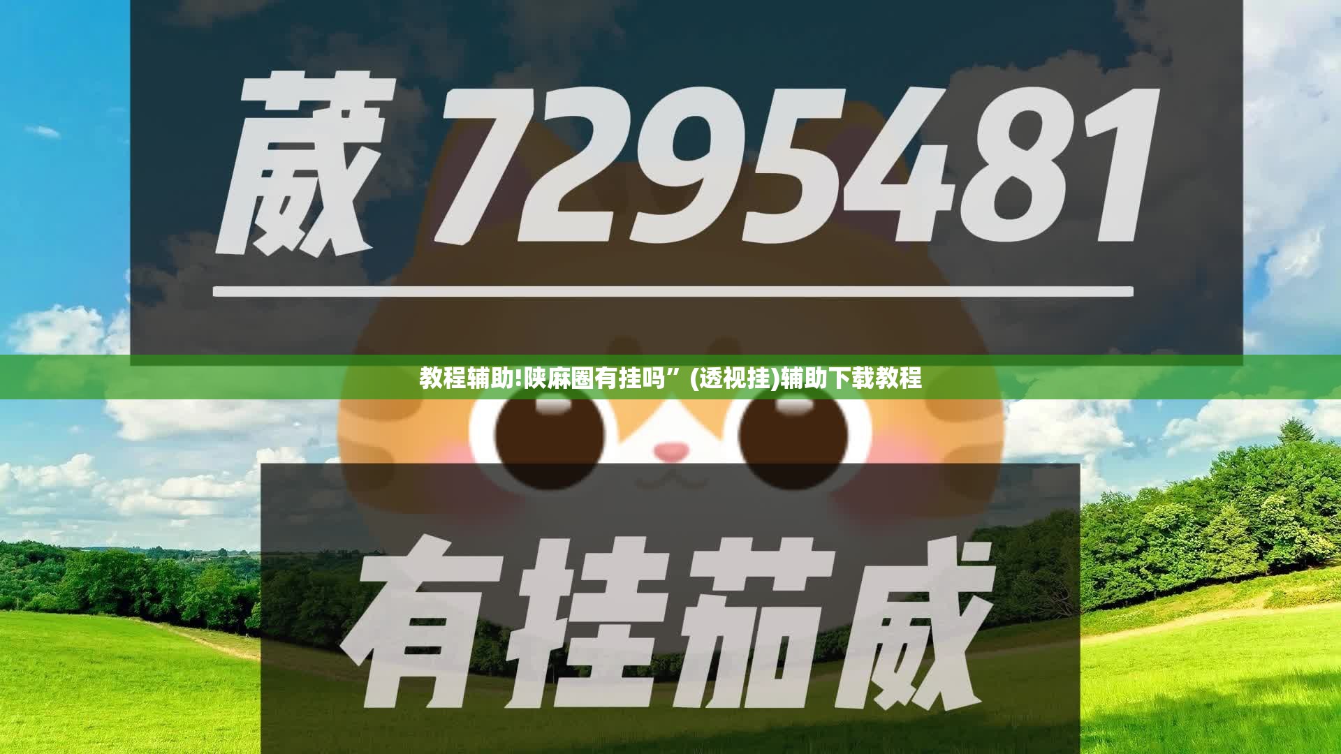 教程辅助!陕麻圈有挂吗”(透视挂)辅助下载教程