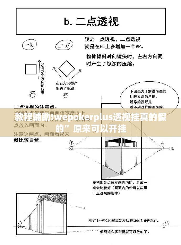 教程辅助!wepokerplus透视挂真的假的”原来可以开挂