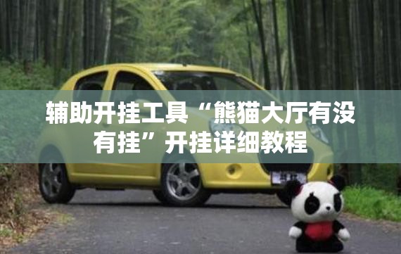 辅助开挂工具“熊猫大厅有没有挂”开挂详细教程