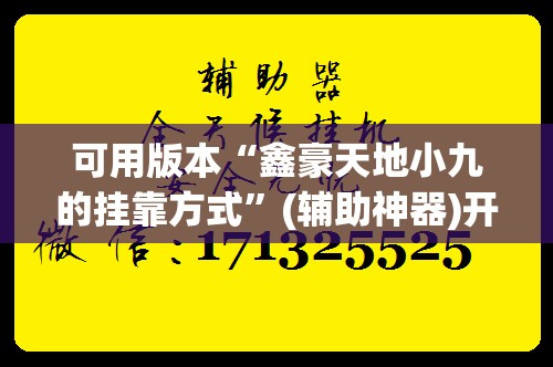 可用版本“鑫豪天地小九的挂靠方式”(辅助神器)开挂详细教程