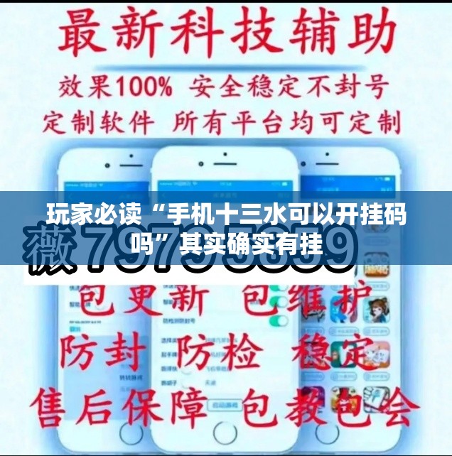 玩家必读“手机十三水可以开挂码吗”其实确实有挂