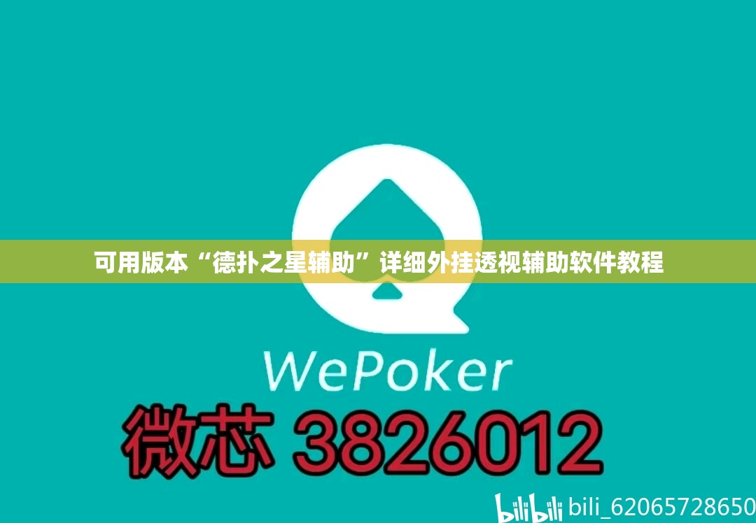可用版本“德扑之星辅助”详细外挂透视辅助软件教程