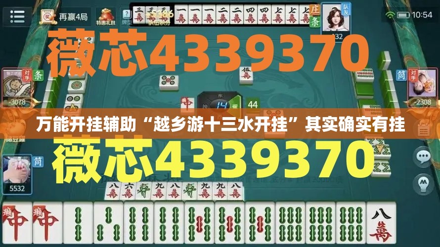万能开挂辅助“越乡游十三水开挂	”其实确实有挂