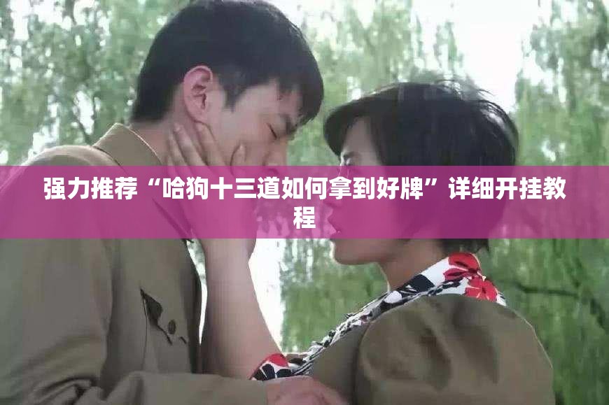 强力推荐“哈狗十三道如何拿到好牌”详细开挂教程