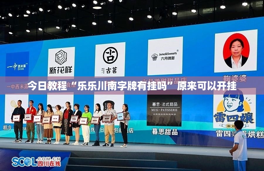 今日教程“乐乐川南字牌有挂吗”原来可以开挂