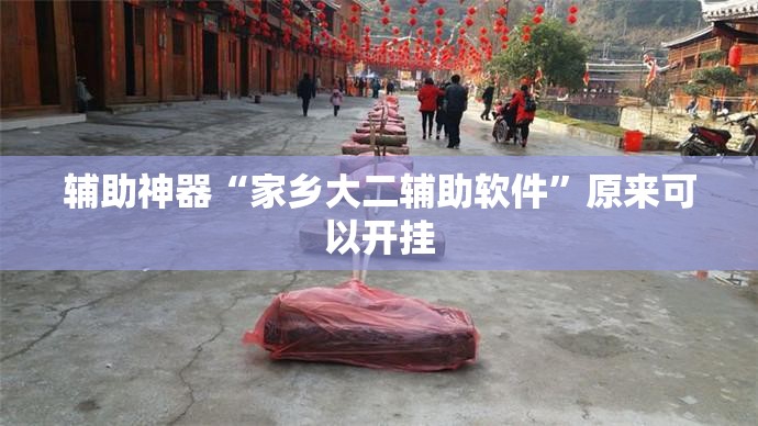 辅助神器“家乡大二辅助软件”原来可以开挂