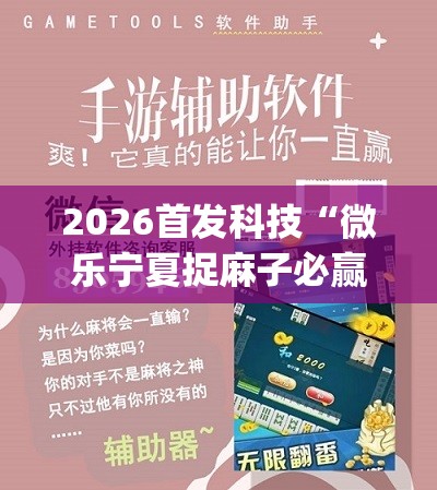 2026首发科技“微乐宁夏捉麻子必赢神器是真的吗”(辅助神器)开挂详细教程