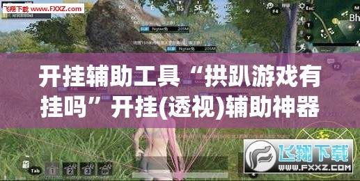 开挂辅助工具“拱趴游戏有挂吗”开挂(透视)辅助神器