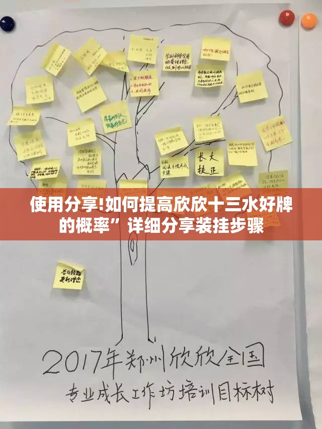 使用分享!如何提高欣欣十三水好牌的概率”详细分享装挂步骤