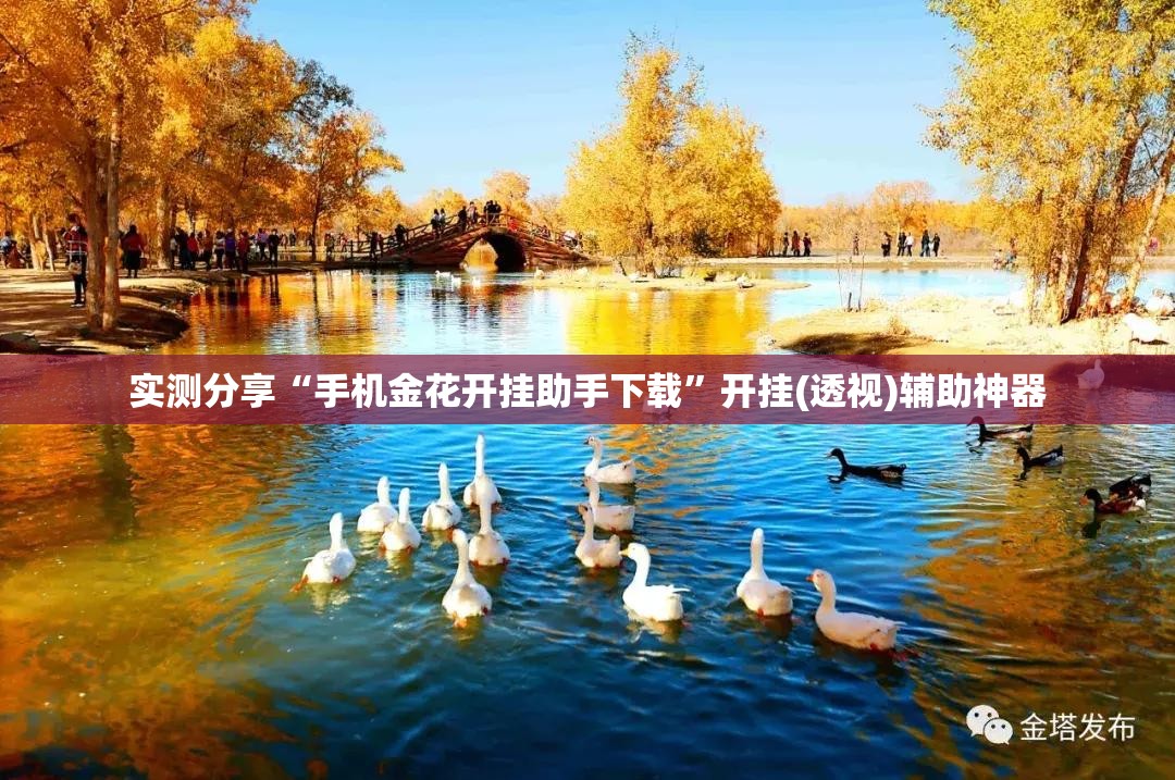 实测分享“手机金花开挂助手下载	”开挂(透视)辅助神器