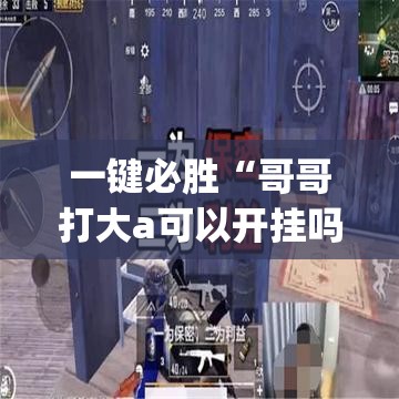 一键必胜“哥哥打大a可以开挂吗”开挂(透视)辅助神器