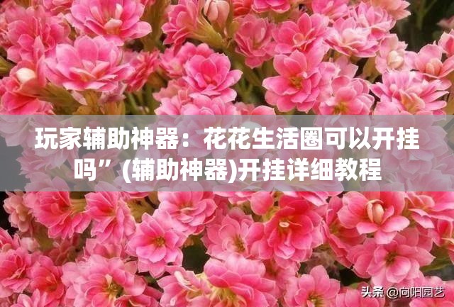 玩家辅助神器：花花生活圈可以开挂吗	”(辅助神器)开挂详细教程