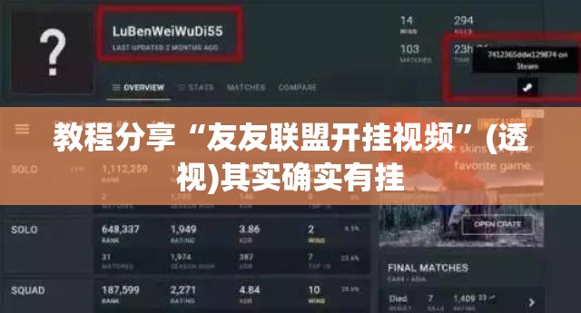 教程分享“友友联盟开挂视频”(透视)其实确实有挂