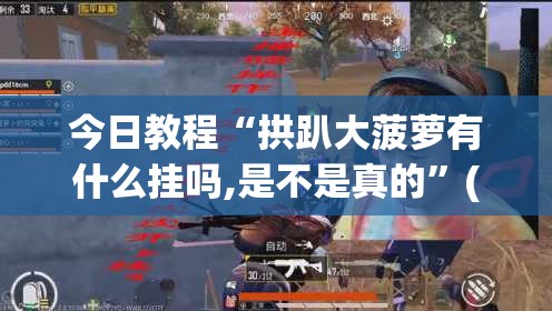 今日教程“拱趴大菠萝有什么挂吗,是不是真的	”(辅助神器)开挂详细教程