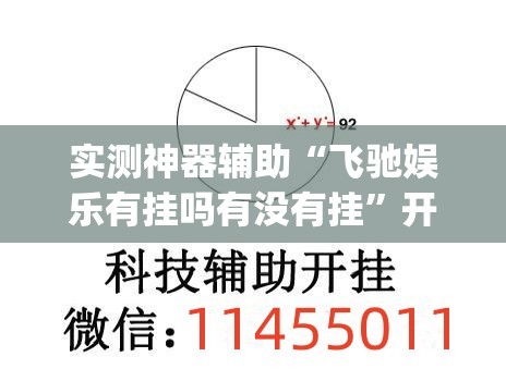 实测神器辅助“飞驰娱乐有挂吗有没有挂”开挂(透视)辅助神器
