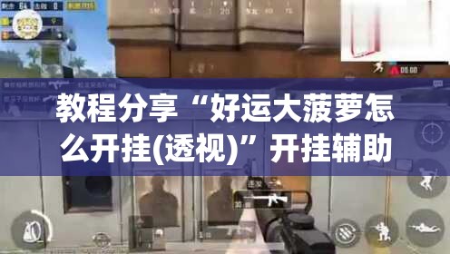 教程分享“好运大菠萝怎么开挂(透视)”开挂辅助脚本+详细开挂安装教程