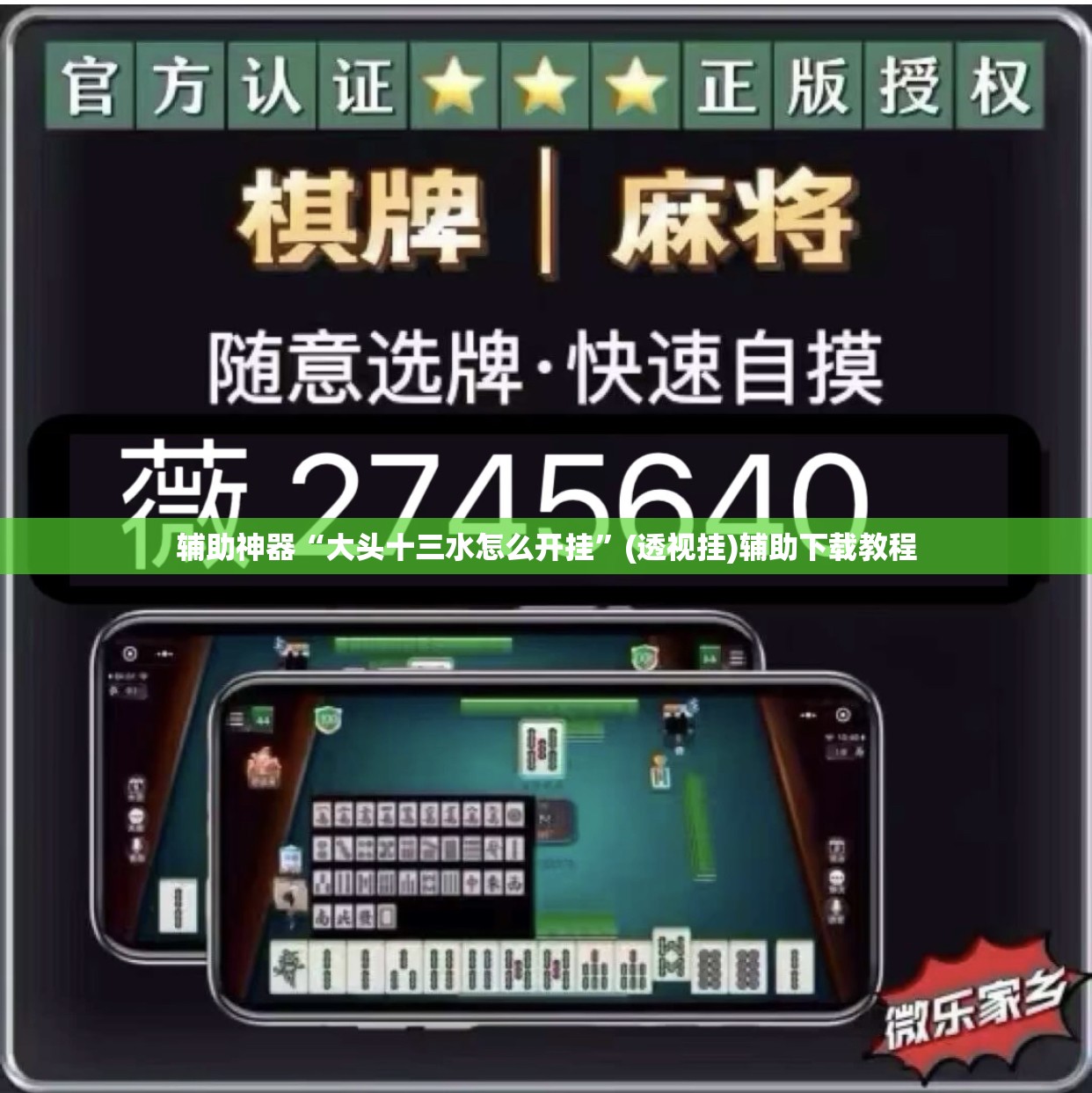 辅助神器“大头十三水怎么开挂”(透视挂)辅助下载教程