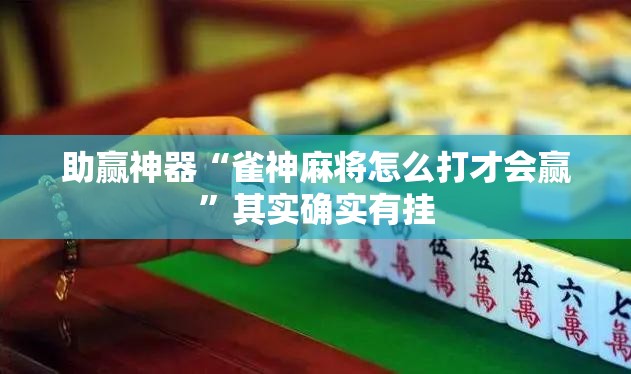 助赢神器“雀神麻将怎么打才会赢”其实确实有挂