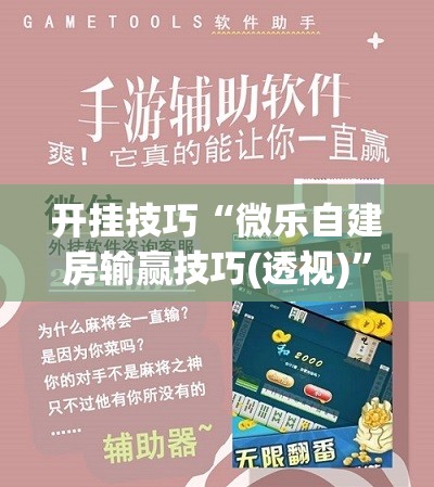 开挂技巧“微乐自建房输赢技巧(透视)”开挂辅助脚本+详细开挂安装教程