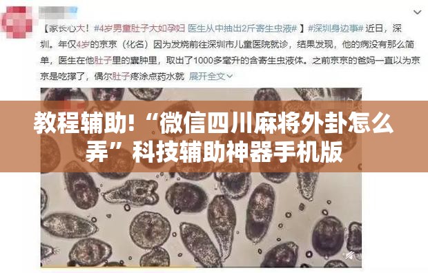 教程辅助!“微信四川麻将外卦怎么弄”科技辅助神器手机版