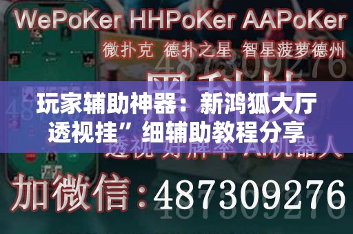 玩家辅助神器：新鸿狐大厅透视挂”细辅助教程分享