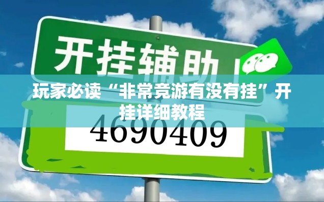 玩家必读“非常竞游有没有挂”开挂详细教程