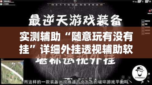 实测辅助“随意玩有没有挂”详细外挂透视辅助软件教程